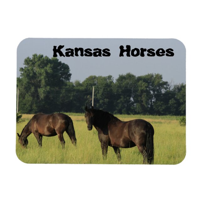 Kansas Horses in a pasture Magnet (Horizontal)