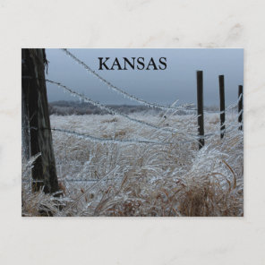 Kansas Ice on a fence Postcard