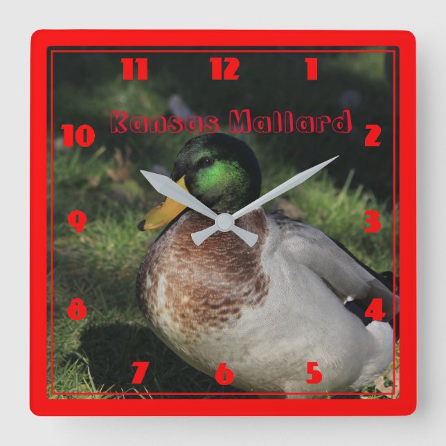 Kansas Mallard Square Wall Clock (Front)