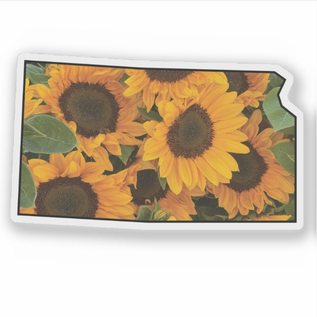 Kansas Map Outline Filled with Sunflowers Sticker (Front)