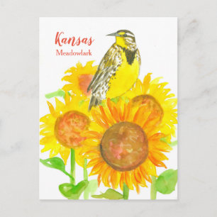 Kansas Meadowlark Sunflowers Postcard
