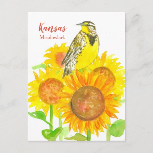 Kansas Meadowlark Sunflowers Postcard