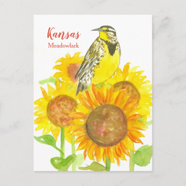 Kansas Meadowlark Sunflowers Postcard (Front)