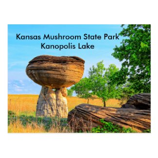 Kansas Mushroom State Park Kanopolis  POST CARD