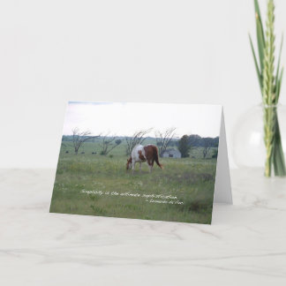 Kansas Paint Horse Card