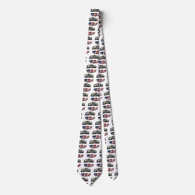 Kansas Picture and USA Flag Font Neck Tie (Front)