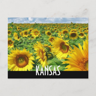 KANSAS POSTCARD