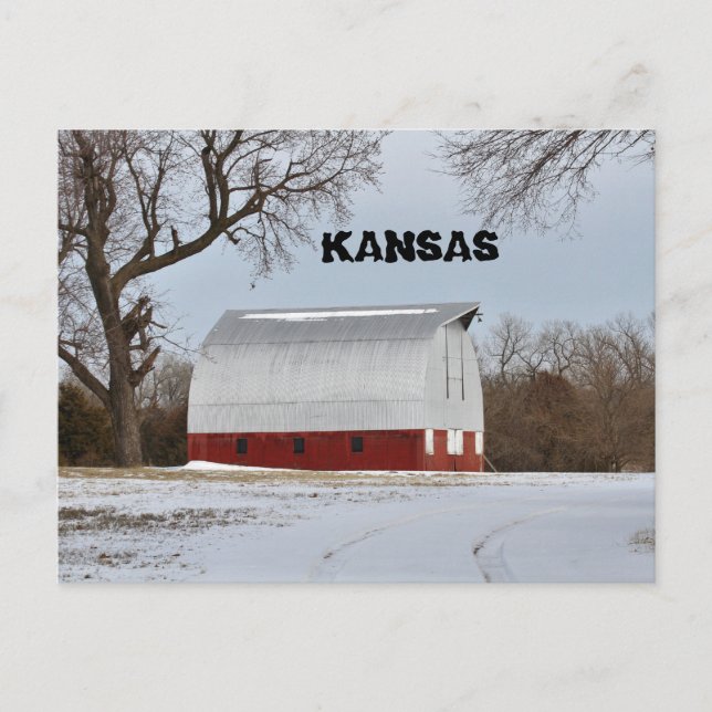 Kansas Red Barn with tree and sky Post Card (Front)