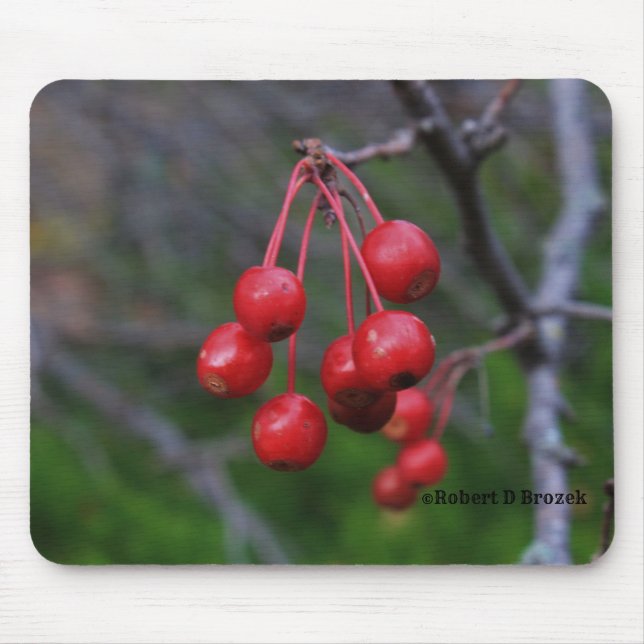 Kansas Red Berries shot closeup Mouse Pad (Front)