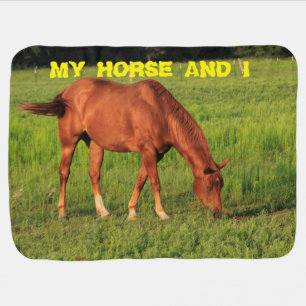 Kansas Red Horse /Box Shell Turtle Baby Blanket