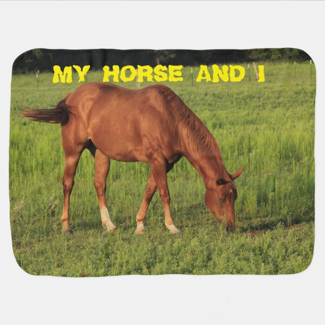 Kansas Red Horse /Box Shell Turtle Baby Blanket (Horizontal)