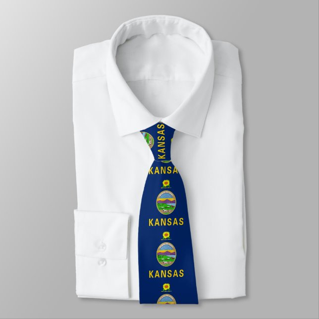 Kansas State Flag Neck Tie (Tied)