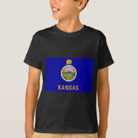 Kansas State Flag