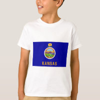 Kansas State Flag