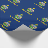 Kansas State Flag