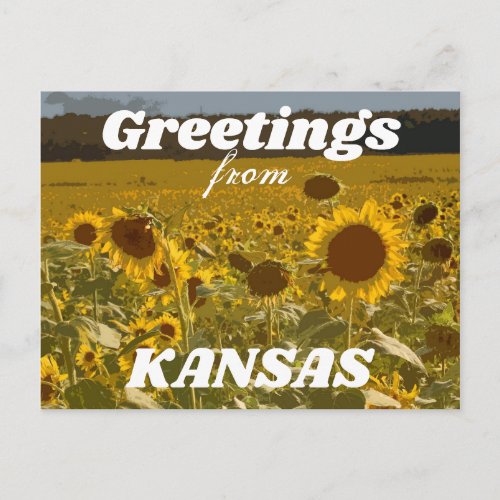 Kansas Sunflower Greetings Postcard