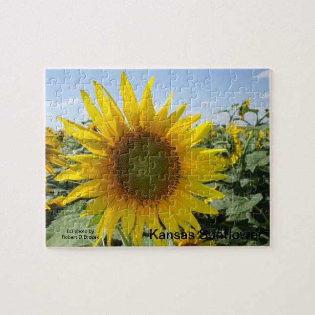 Kansas Sunflower Jigsaw Puzzle (Horizontal)