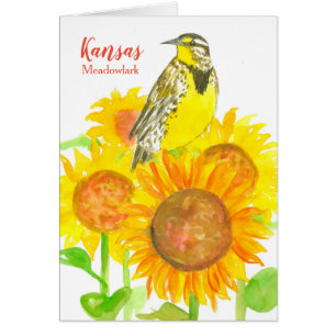 Kansas Sunflower Museum Gift Store Souvenir Cards