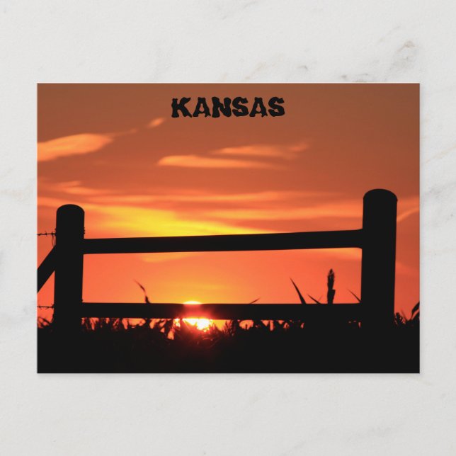 Kansas Sunset with a farm fence. Postcard (Front)