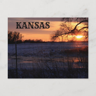 Kansas Sunset with Tree Silhouette Post Card