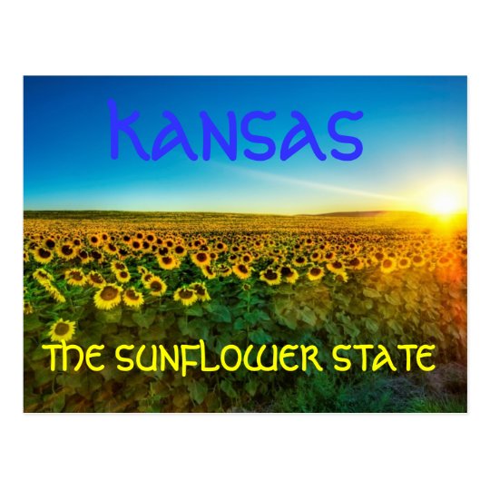 Kansas "The Sunflower State' Postcard | Zazzle.com