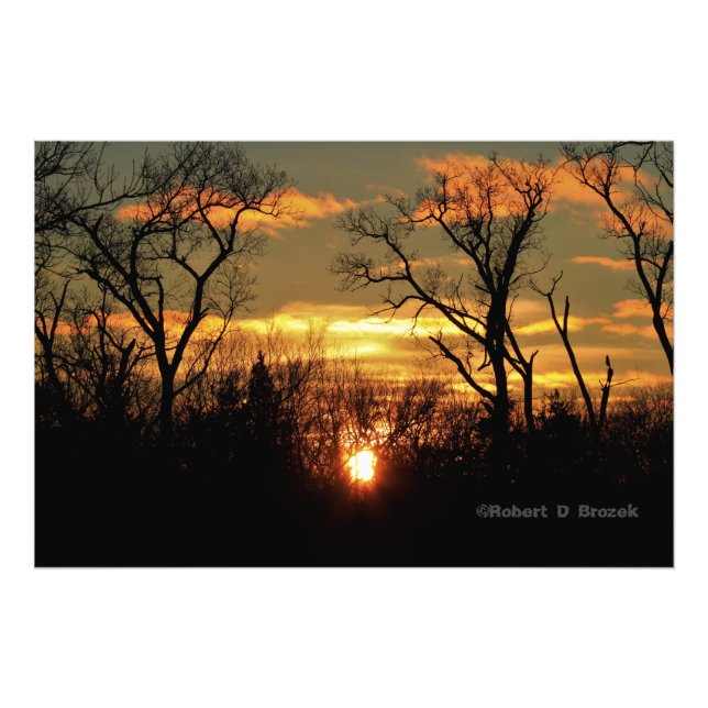 Kansas Tree Silhouettes Sunset Photo Poster. (Front)