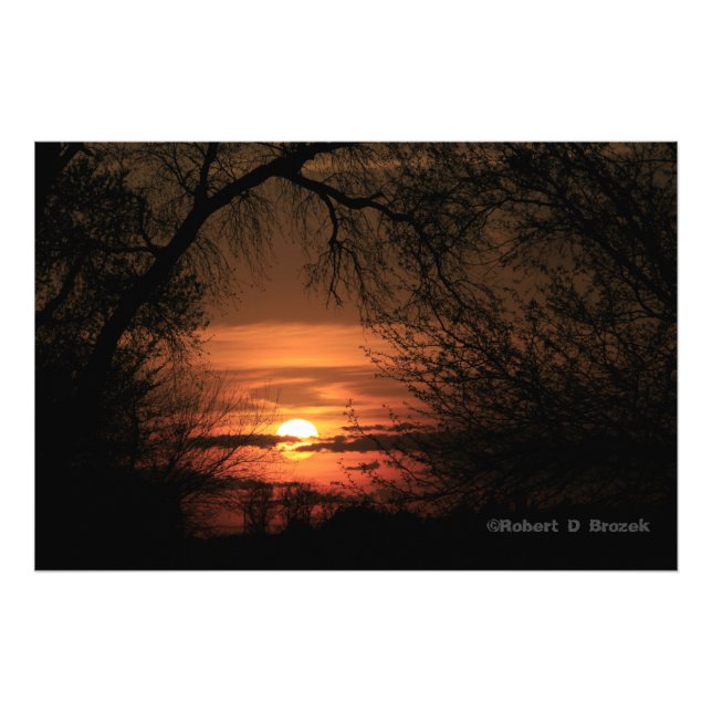 Kansas Trees Sunset Photo Poster. Print (Front)
