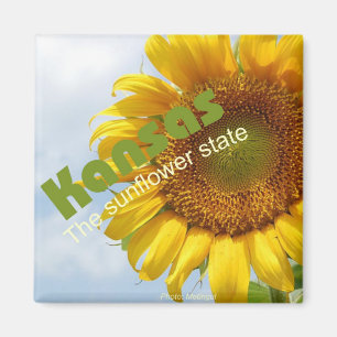 Kansas USA Sunflower State Souvenir Fridge Magnet