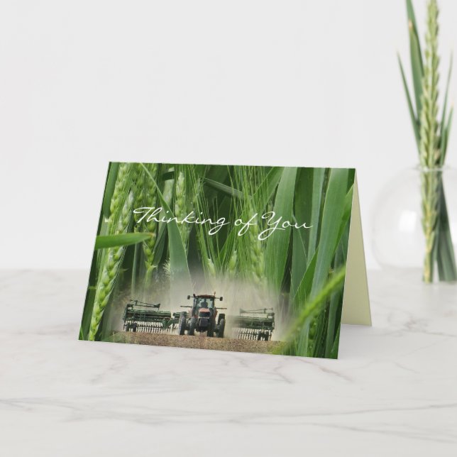 Kansas Wheat 2862 3-2- customize any occasion Card (Front)