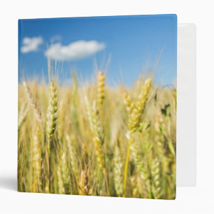 Kansas Wheat 3 Ring Binder