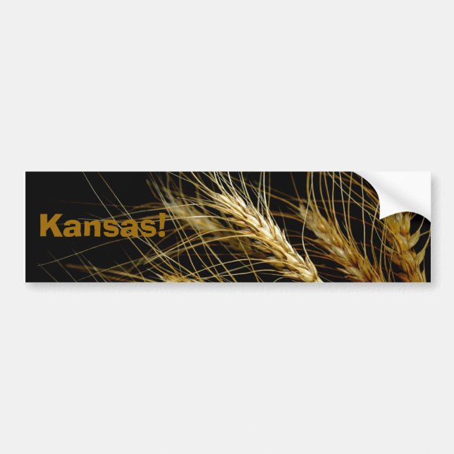 Kansas!  Wheat crop bumper sticker (Front)