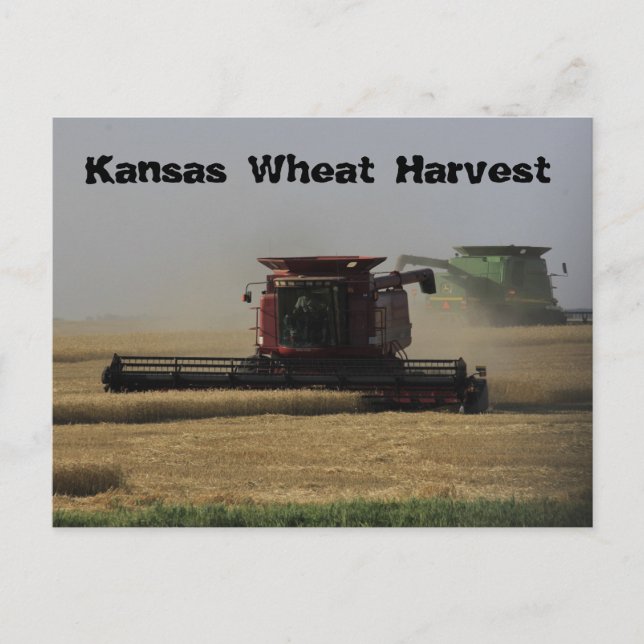 Kansas Wheat Harvest Post Card (Front)