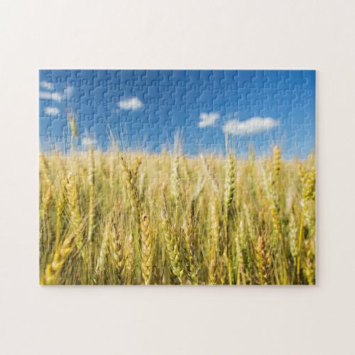 Kansas Wheat Jigsaw Puzzle