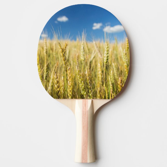 Kansas Wheat Ping-Pong Paddle (Front)