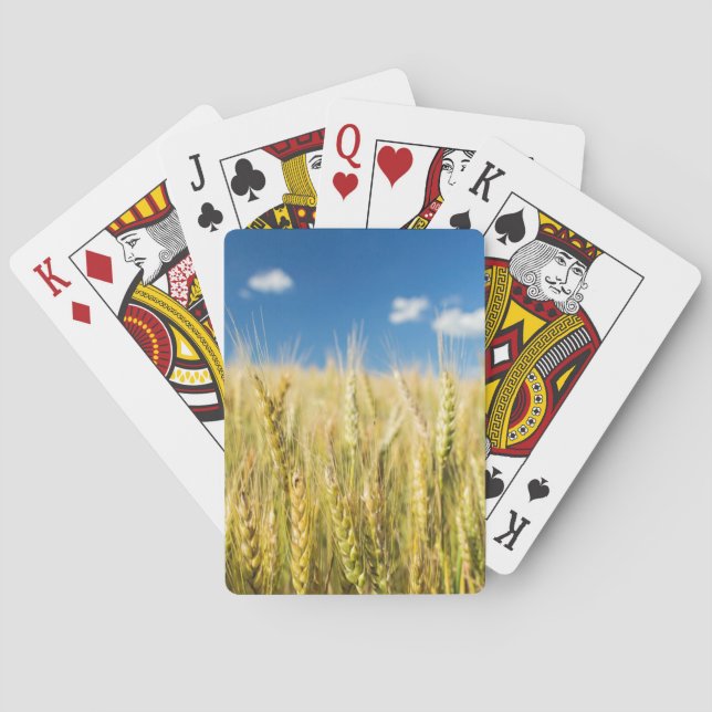 Kansas Wheat Poker Cards (Back)