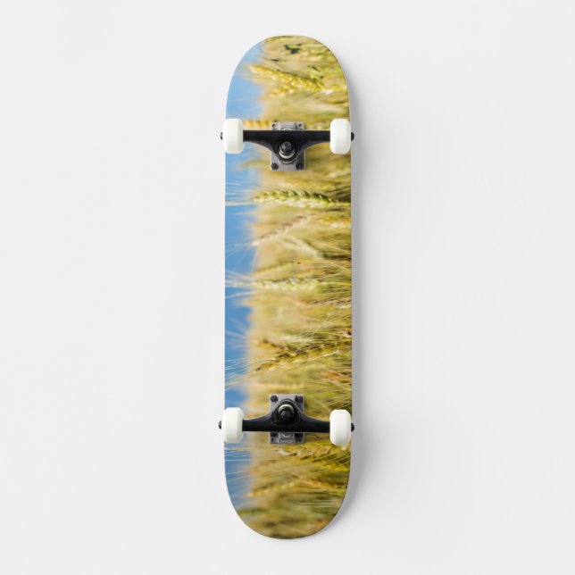 Kansas Wheat Skateboard (Front)