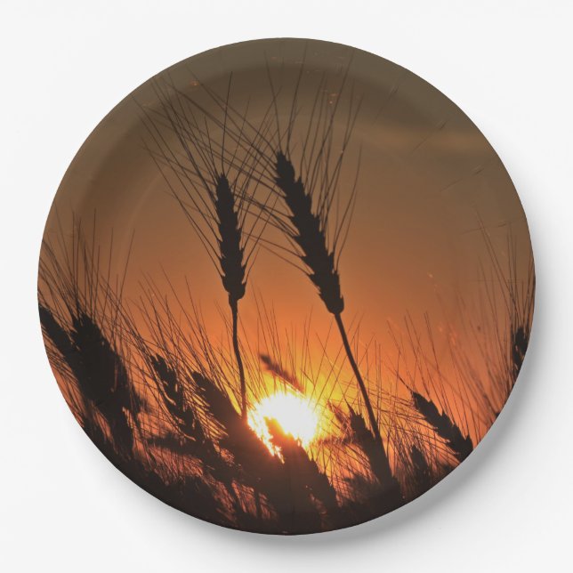 Kansas Wheat Sunset silhouette closeup Paper Plates (Front)