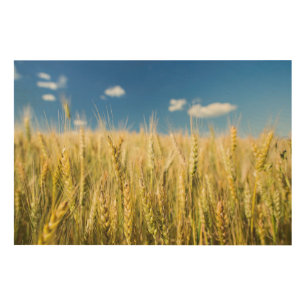 Kansas Wheat Wood Wall Art