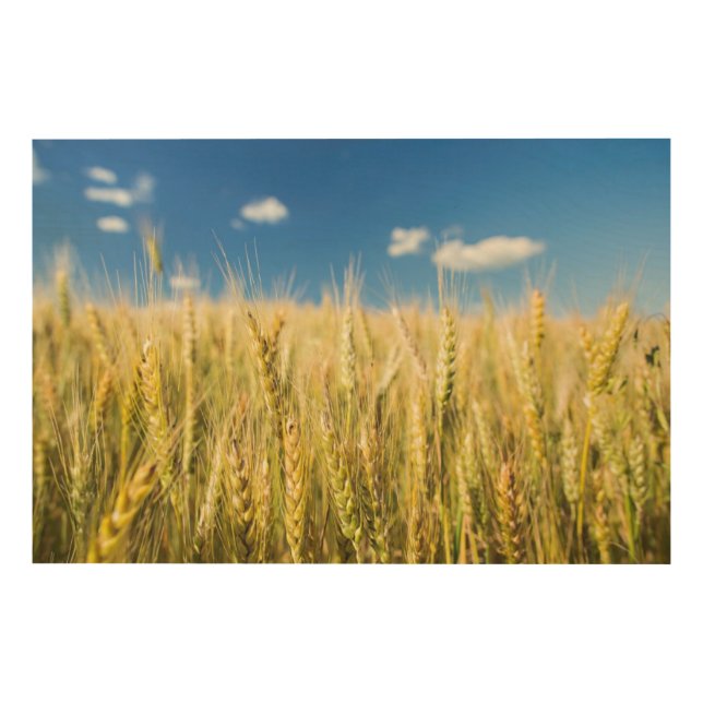 Kansas Wheat Wood Wall Art (Front)