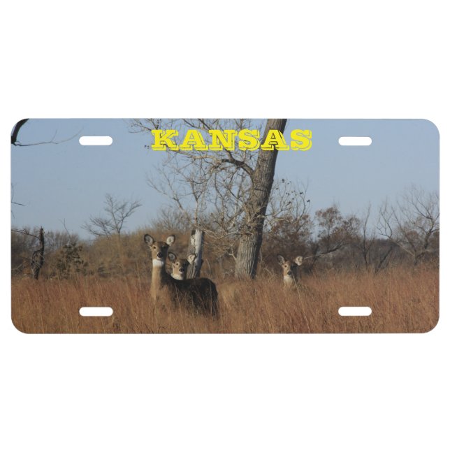 Kansas White Tail Deer  License Plate (Front)