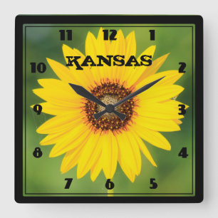 Kansas Wild Sunflower Closeup Square Clock