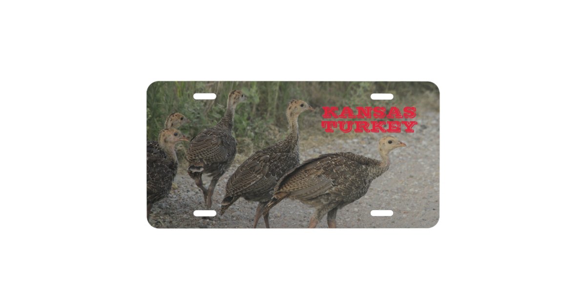 Kansas Wild Turkey on a road License Plate Zazzle