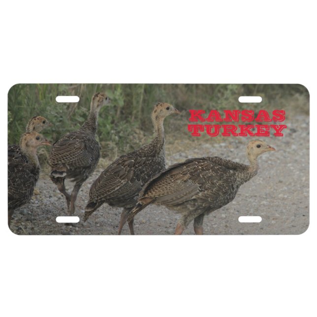 Kansas Wild Turkey on a road   License Plate (Front)