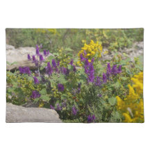 Kansas Wildflower Placemats
