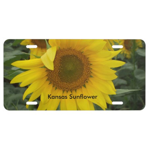 Kansas Yellow Sunflower CAR TAG License Plate