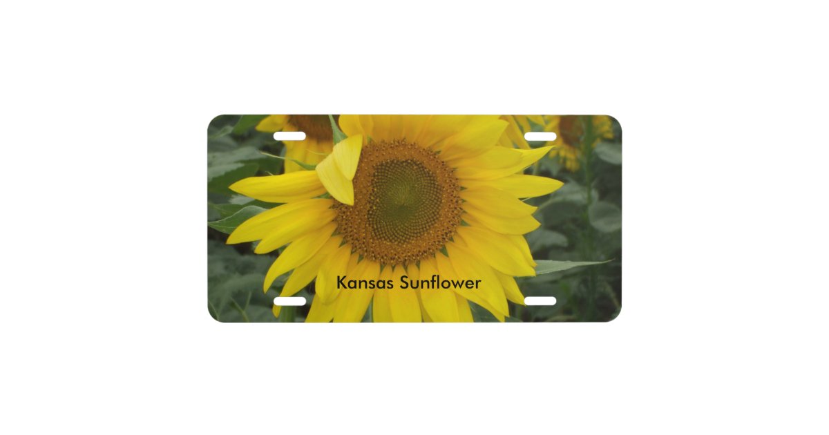 Kansas Yellow Sunflower CAR TAG License Plate Zazzle