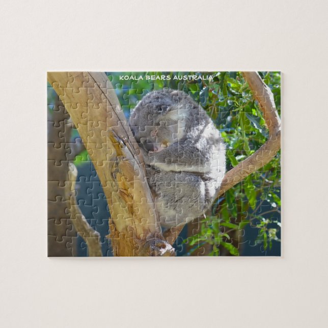 Kaola Bears Australia Jigsaw Puzzle (Horizontal)