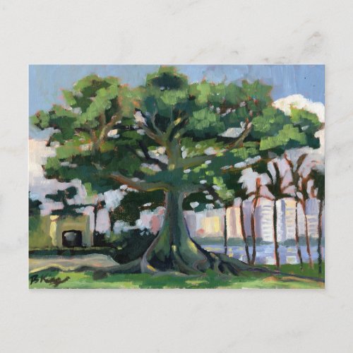 Kapok Tree postcard