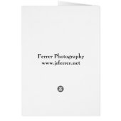 Kaposia Landing in Winter (Back)