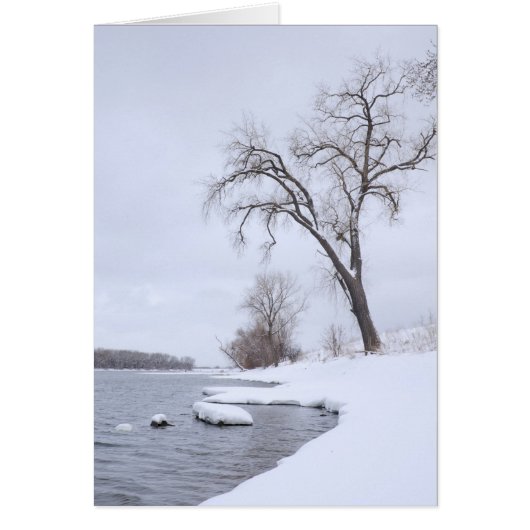 Kaposia Landing in Winter (Front)